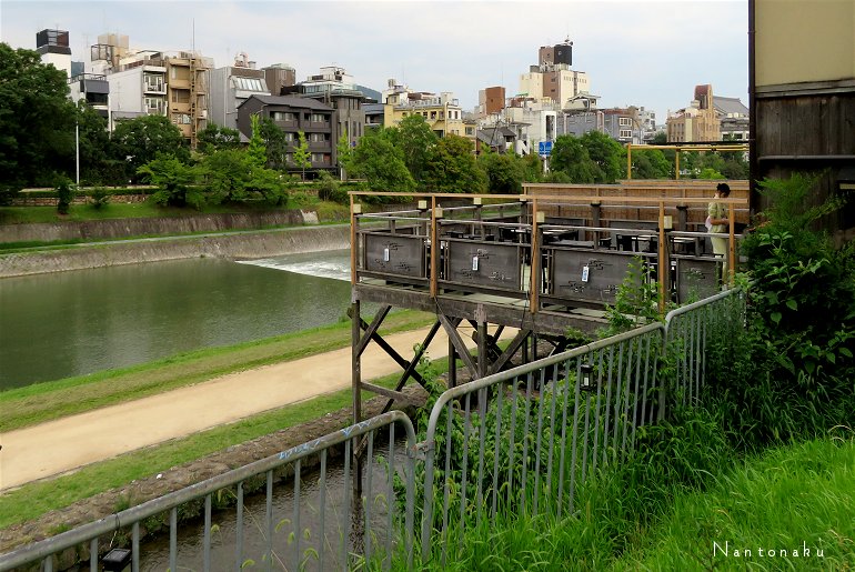 京都先斗町通り　からみた　夏の鴨川２