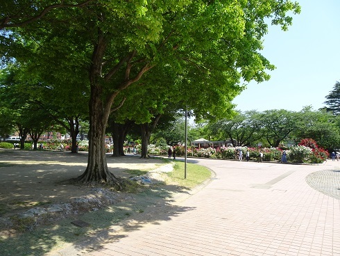 富樫ばら園