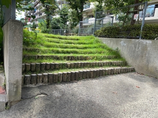 大好き草の階段