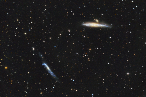 NGC4631NGC4656_20220307-2.jpg