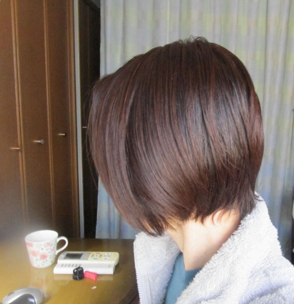 髪　ヘアスタイル (1)