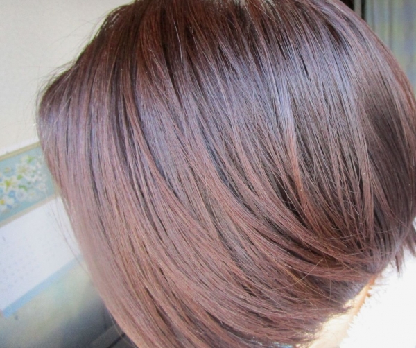 髪　ヘアケア オルナオーガニックのシャンプートリートメントヘアオイル(1)