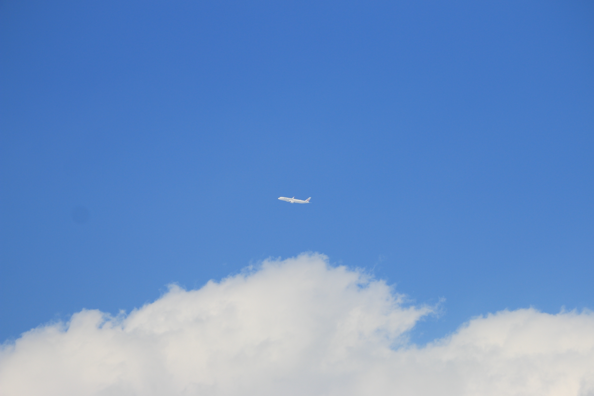 飛行機と雲