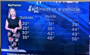 車内の温度