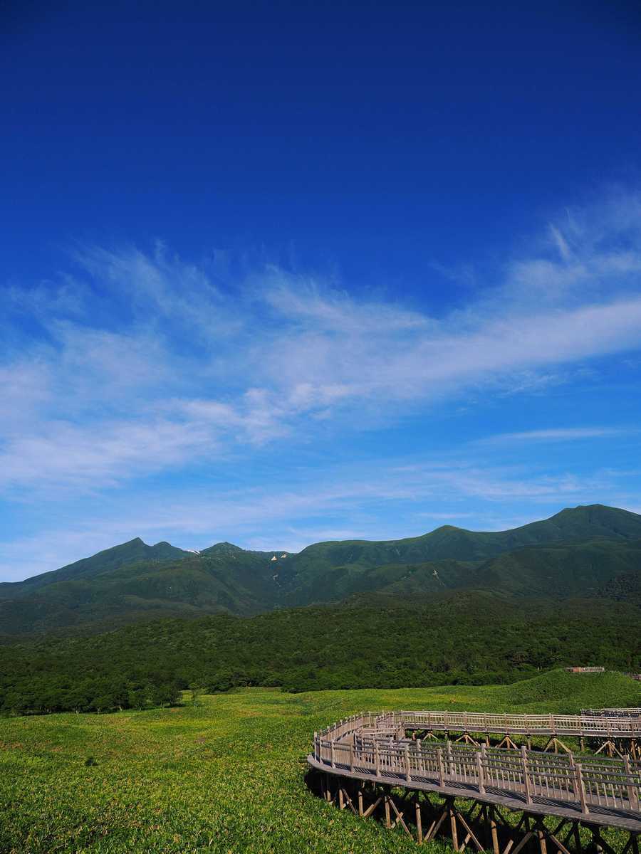 北海道知床５湖の木道と青空 2022年8月