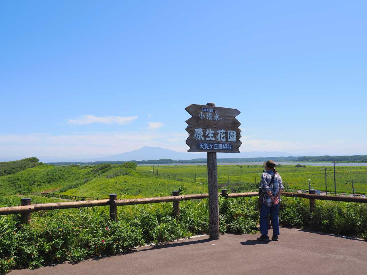 原生花園展望台 2022年8月北海道