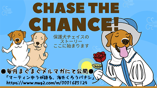 Chase-the-Chance_Banner500_20220715183823d79.gif