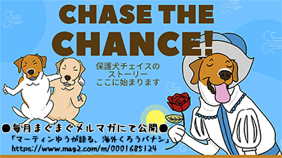 Chase-the-Chance_Banner_2022041516042158f.gif