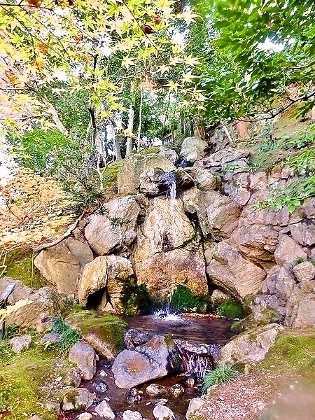 P1230951滝の鏡石