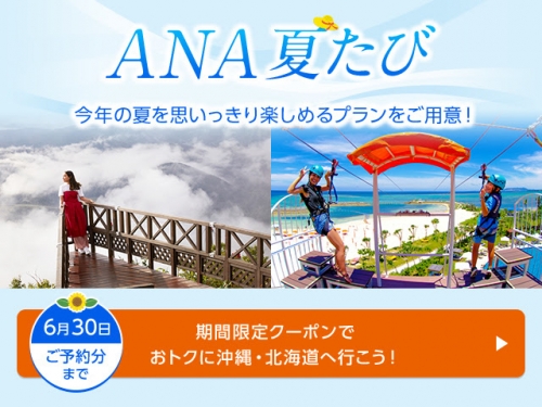 ANA　6月30までの期間限定クーポン　沖縄・北海道へ　FLYING HONUチャーターイベントなど