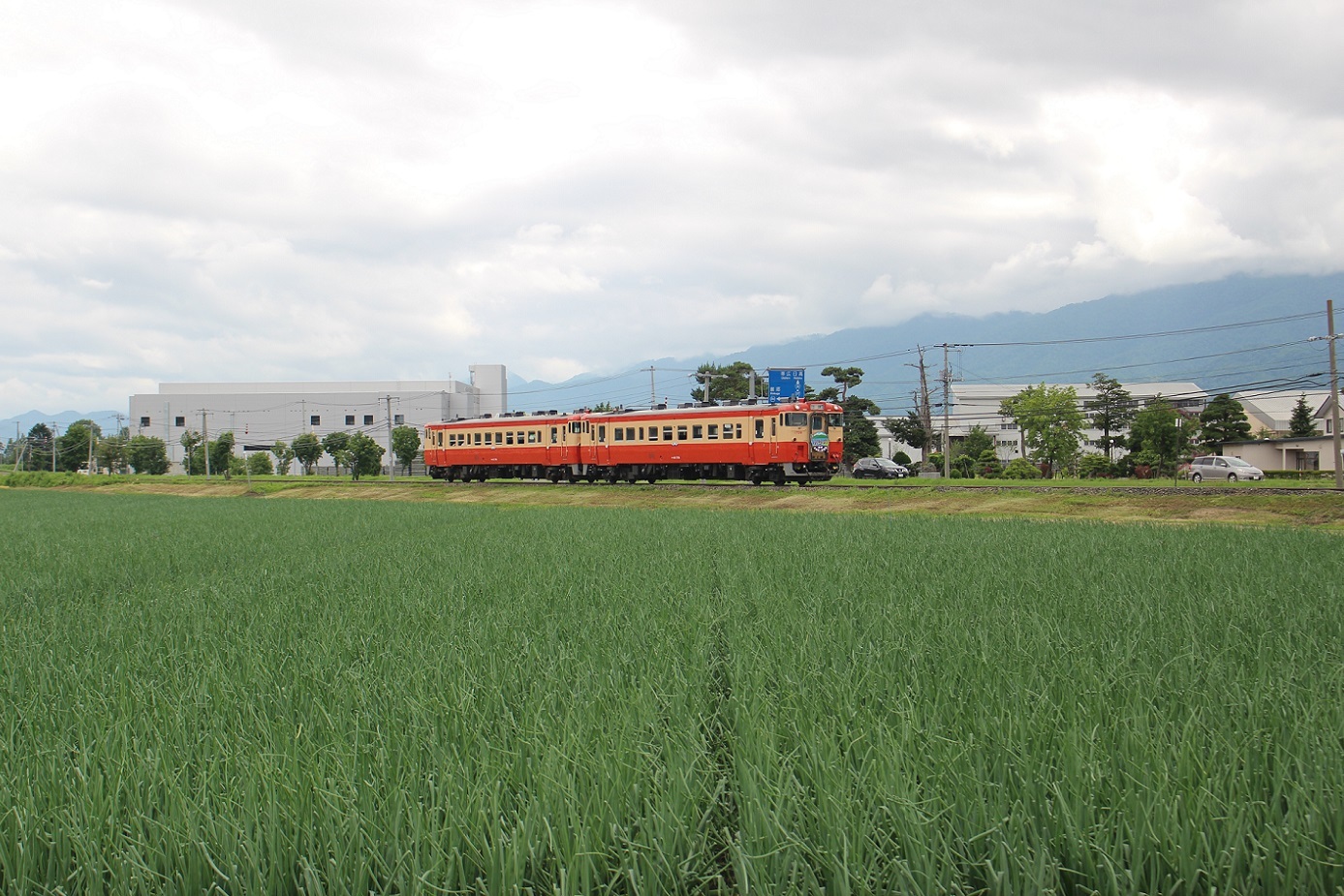 団体臨時列車「ふらの号」a307