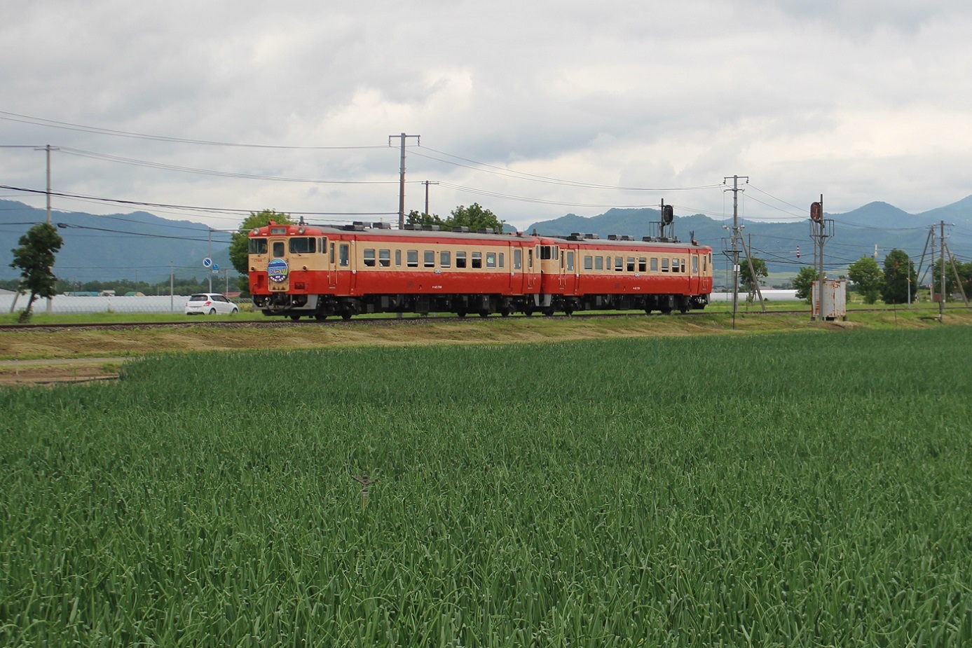 団体臨時列車「ふらの号」a309