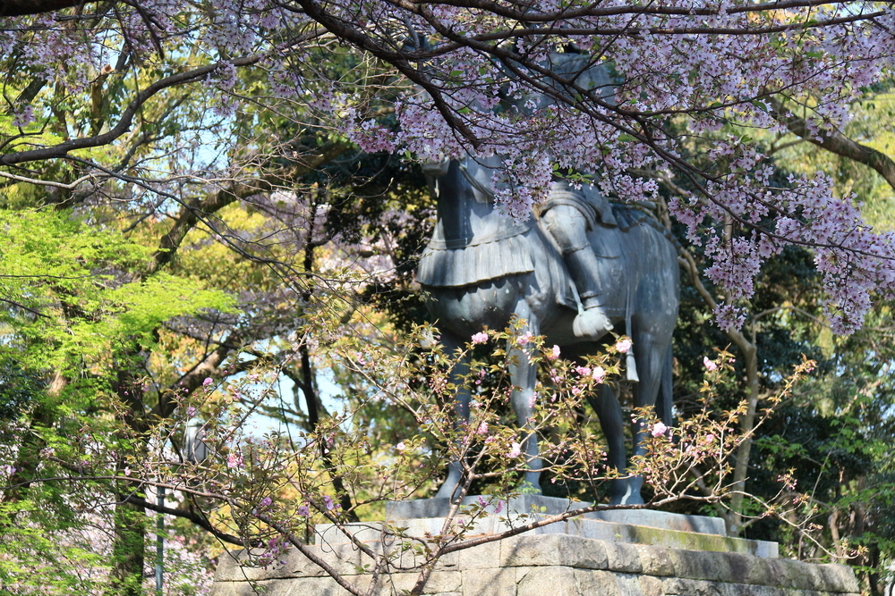 津城跡の桜の画像