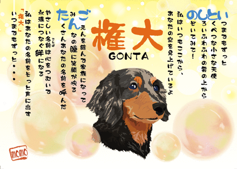 gonta-kun_p