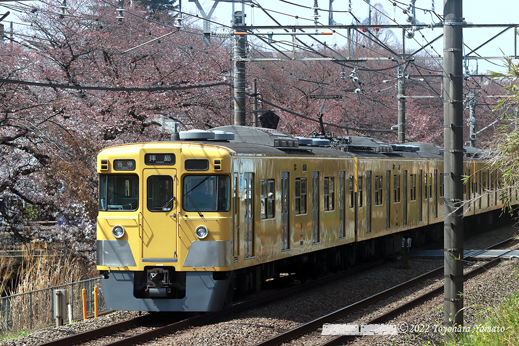 202203[D9-3612]武蔵関5311(2007)