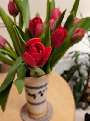 tulipsintheroom0322