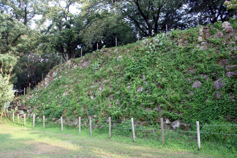 加納城／⑧本丸北側の石垣
