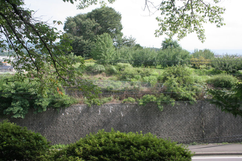大井城／⑥王城公園から見た黒岩城