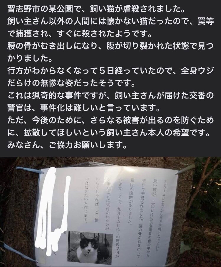 千葉県習志野市（実籾自然公園）で発生した飼い猫の虐殺事件について