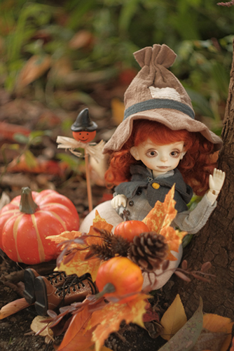 ツバキアキラが撮った、DOLLZONE・Pumpkinのクルル。ハロウィン仕様の子をハロウィンに撮影できて、シアワセです。
