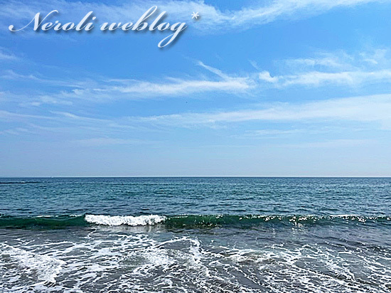 ちょっと海を見たくなったから、江ノ島へ【追記あり】