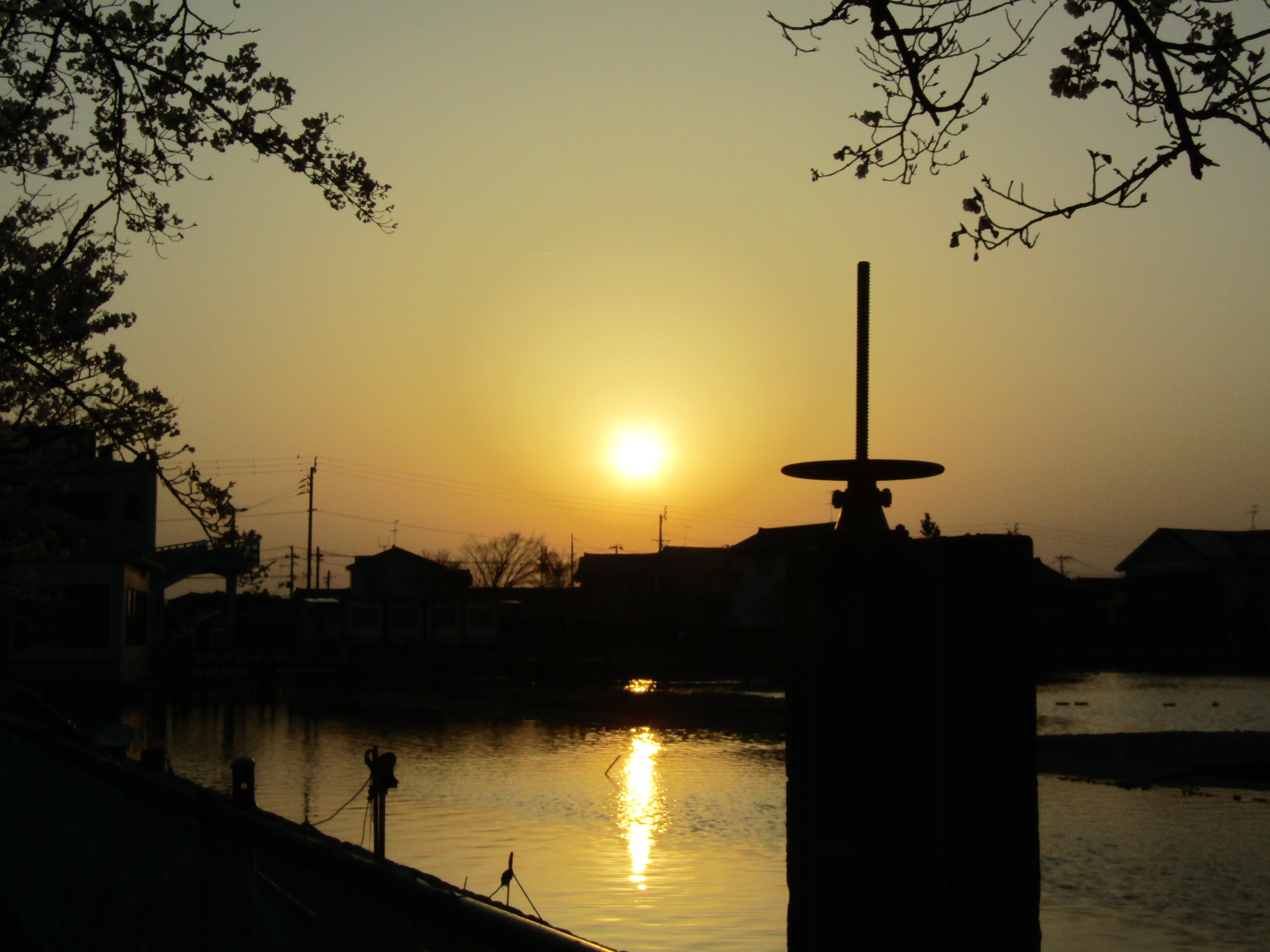 阿賀野市春の瓢湖のトワイライト8