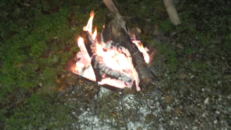 スマホで撮影した焚き火