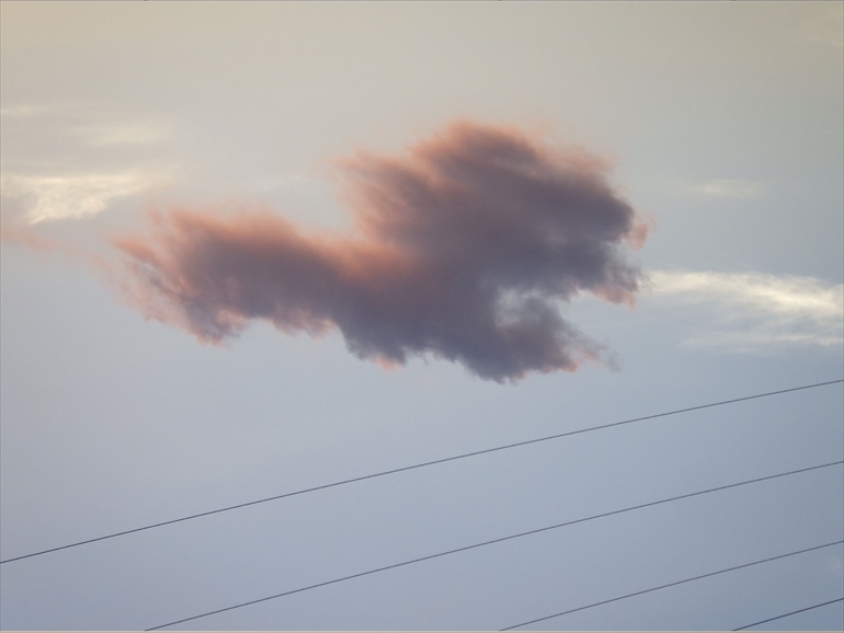 犬のような雲