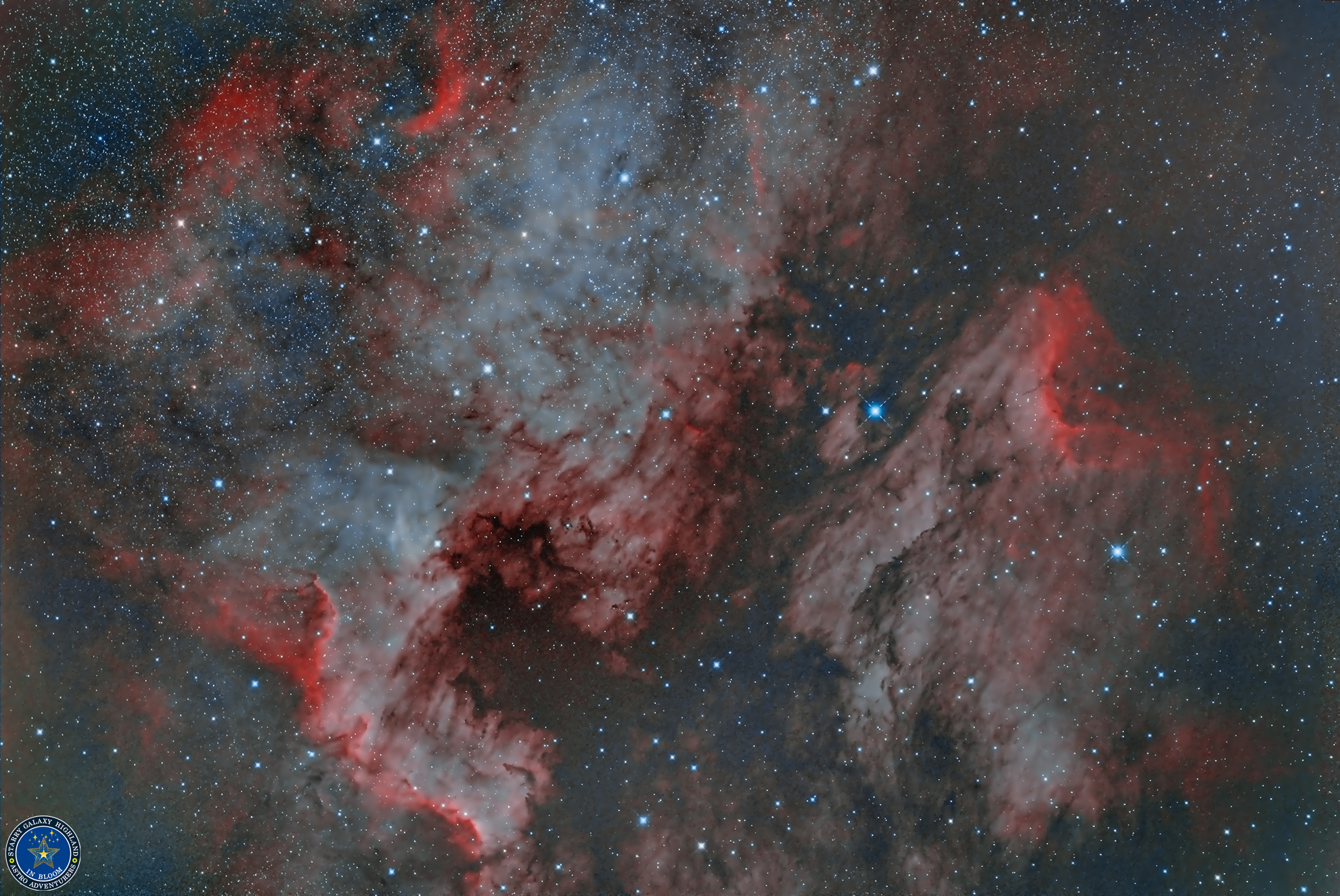 NGC7000_AOO_004.jpg