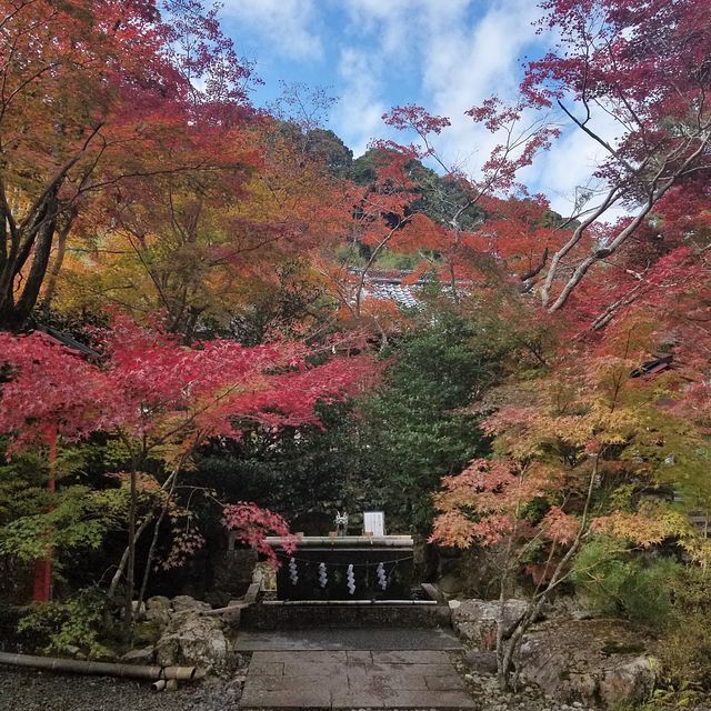 鍬山神社(小）_004