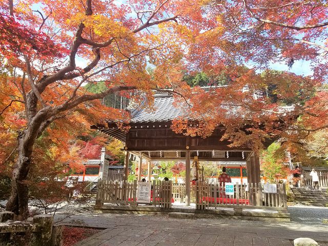 鍬山神社(小）_005