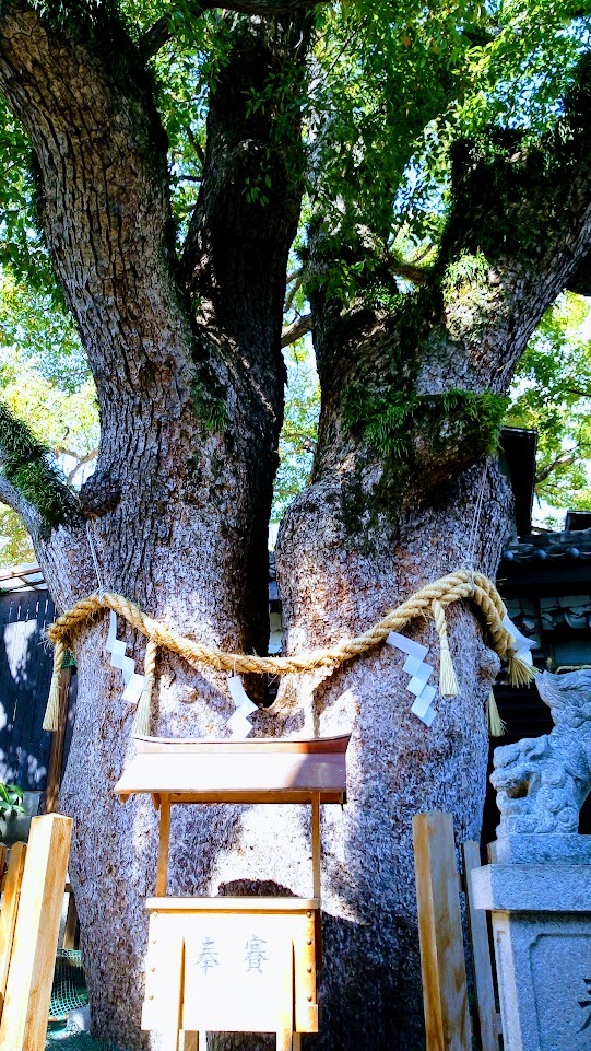 楠霊神社