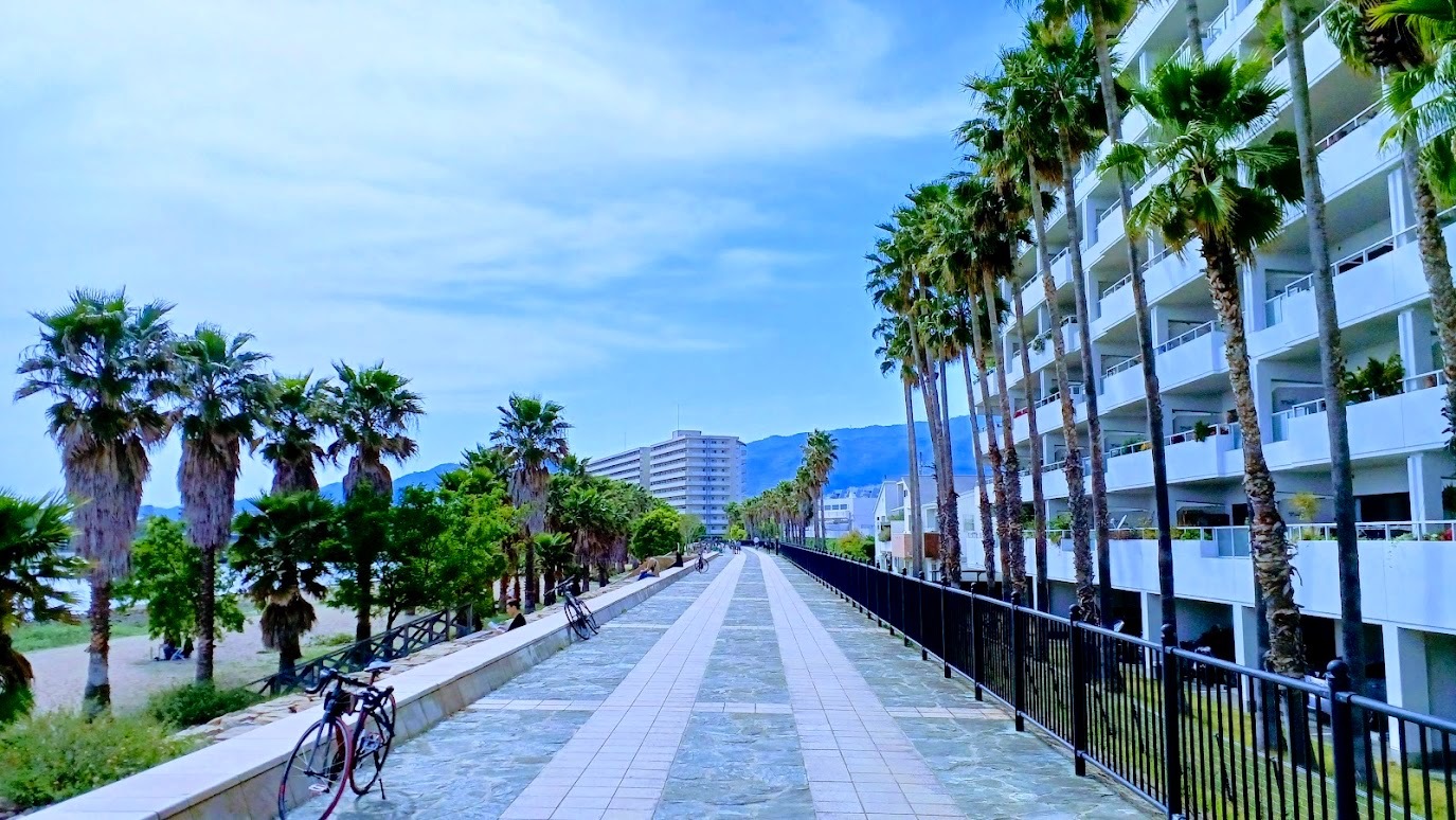 香櫨園浜遊歩道