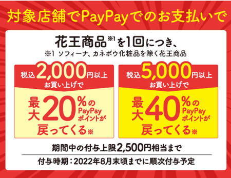 花王×PayPayキャンペーン